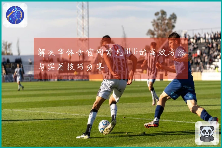 解决华体会官网常见BUG的高效方法与实用技巧分享