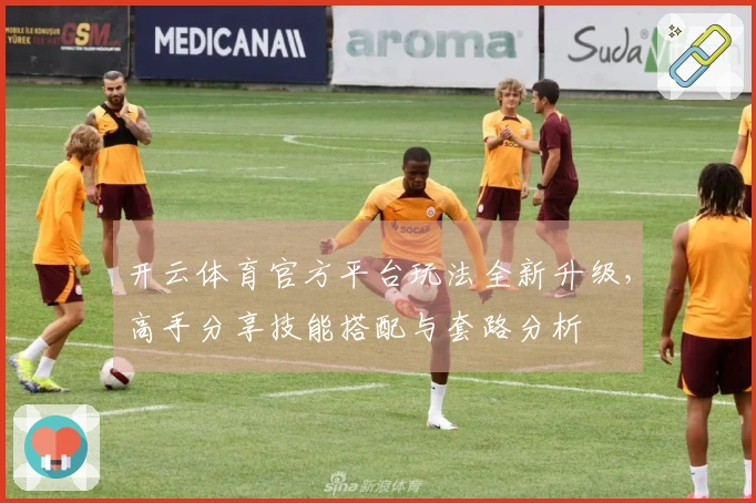 开云体育官方平台玩法全新升级，高手分享技能搭配与套路分析